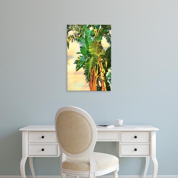 Easy Art Prints Melinda Bradshaw's 'Bird of Paradise Palm II' Premium Canvas Art