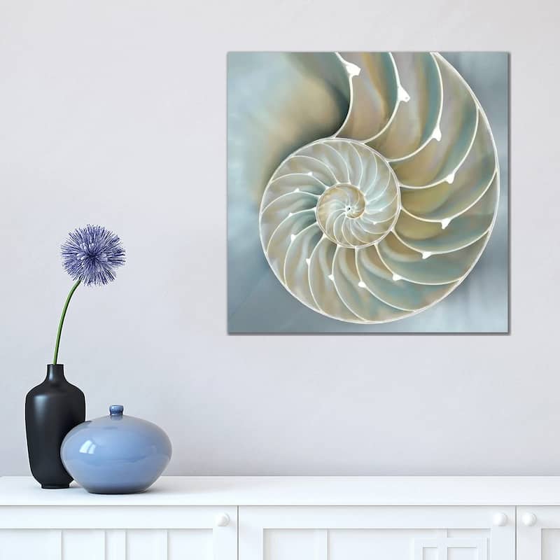 iCanvas "Nautilus In Blue II" by Caroline Kelly Canvas Print - 18x18x1.5