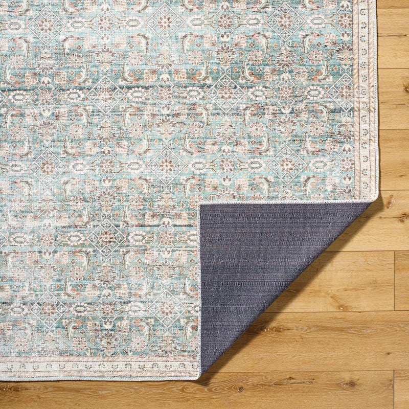 Livabliss Amelie Traditional Oriental Indoor/Outdoor Area Rug
