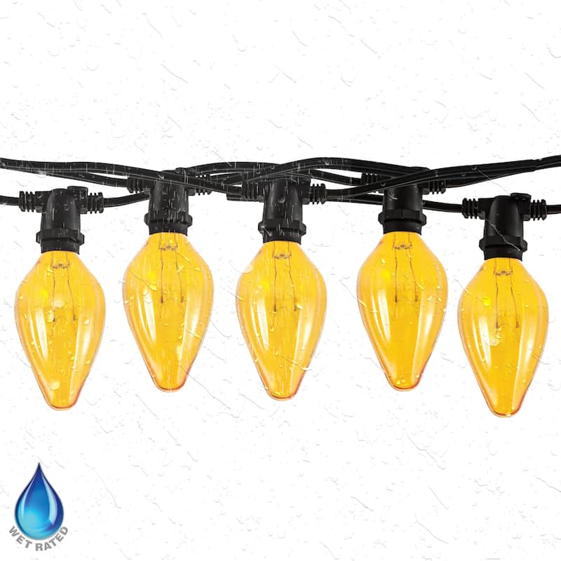 Bulbrite 14 Foot Indoor/Outdoor Black String Light with 10 -15 Watt Bulbs