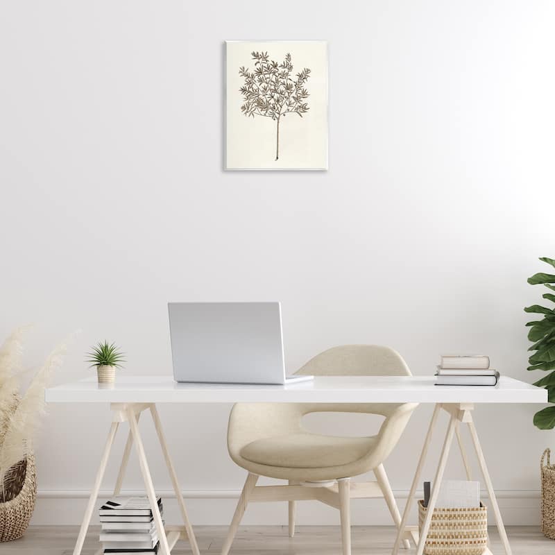 Stupell Vintage Study of Olive Tree Wall Plaque Art Design By Phillipa Katz
