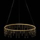 preview thumbnail 1 of 2, Golden Lighting 5461-26 Lucerna 26" Wide Ring Chandelier Stainless Steel Gold