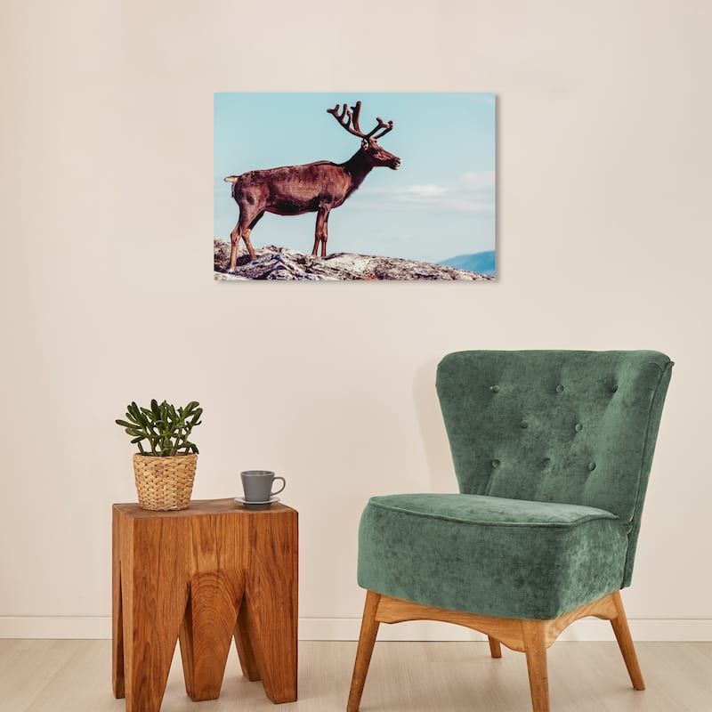 Wynwood Studio Canvas Animals In Its Own Habitat Blue and Light Blue Rustic Wall Art Canvas Print - 16 x 24