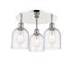 Option Polished Nickel / Seedy