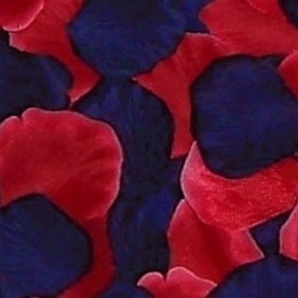 Shop Igc 200 Silk Rose Petals Wedding Favors Multi Colors Navy Blue Red Wedding Reception And Party Supplies Overstock 27724639