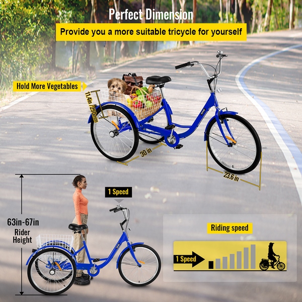Large adult tricycle 2025