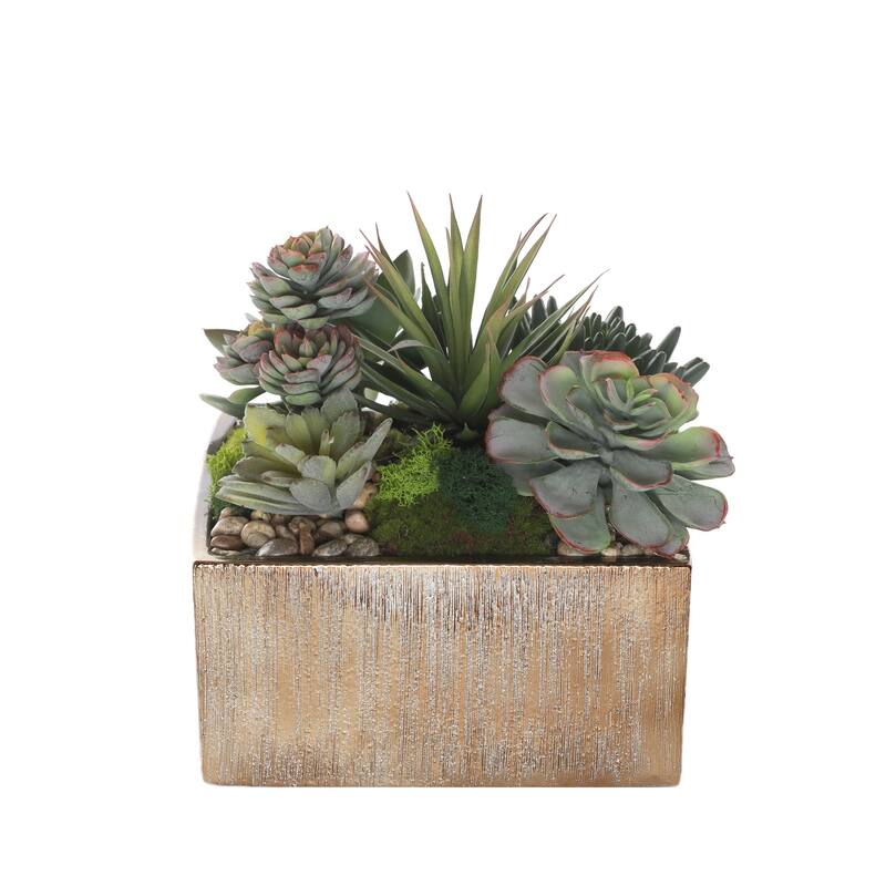 Succulent Arrangement with rocks in Square Etched Gold Pot - Green, green gray, green red