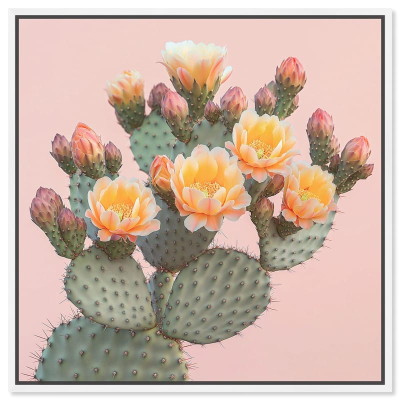 Pink and Prickly Canvas by Art Remedy - 30" x 30" - White