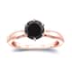 Option Rose
