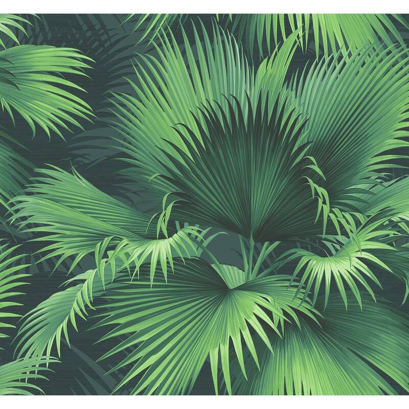 Kenneth James Endless Summer Dark Green Palm Wallpaper - 27in x 324in x 0.025in