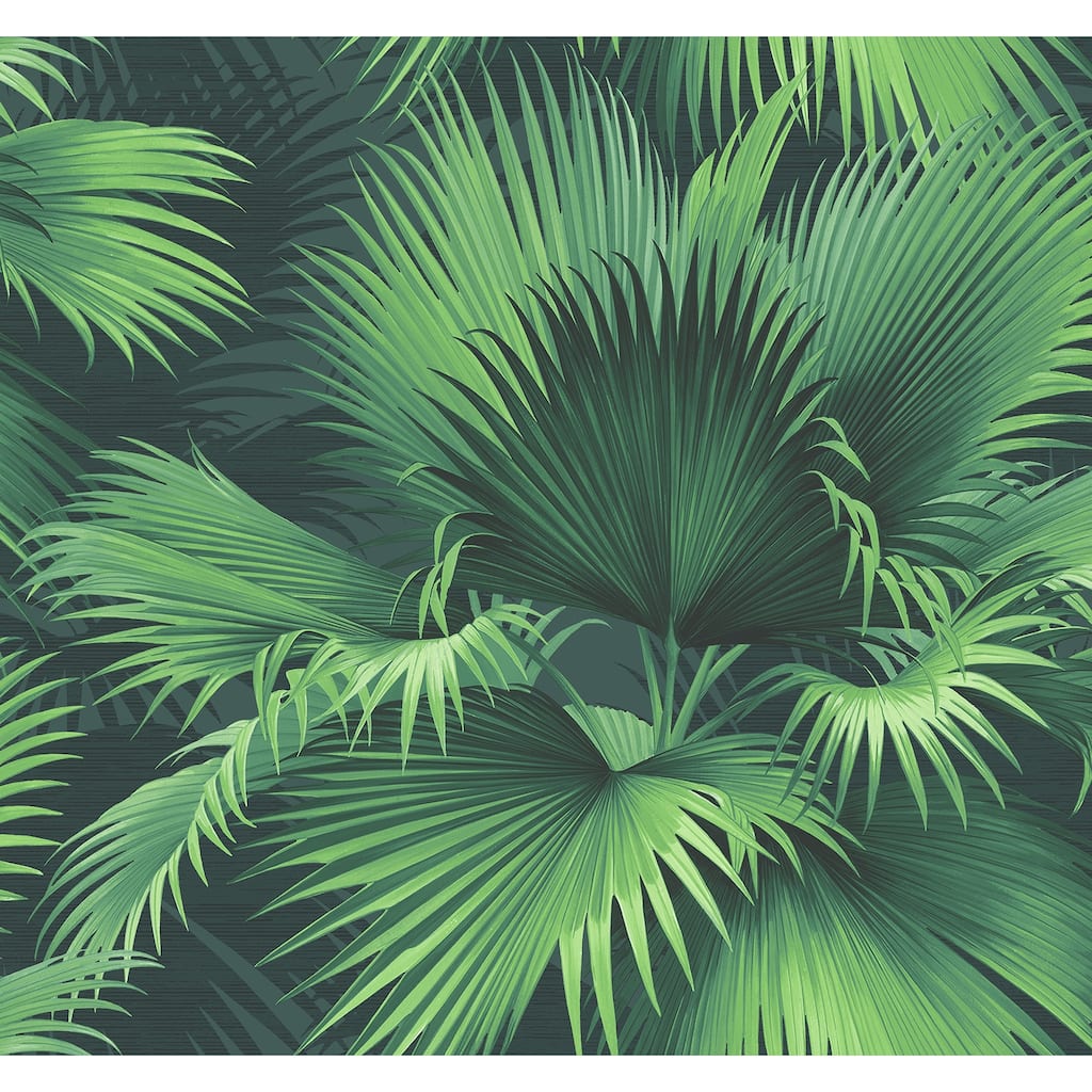 Kenneth James Endless Summer Dark Green Palm Wallpaper - 27in x 324in x 0.025in