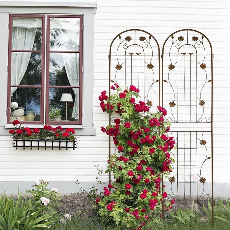 86.7" x 19.7'' Rust-Resistant Climbing Trellis for Garden Flowers and Vines