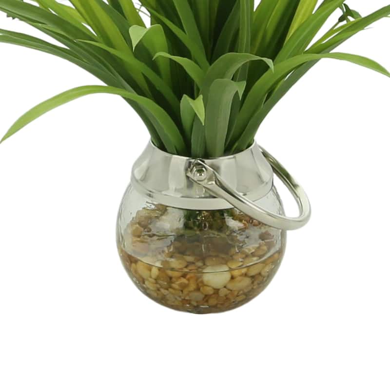 Grass Leaf Plant in Glass Vase with Rocks - Green