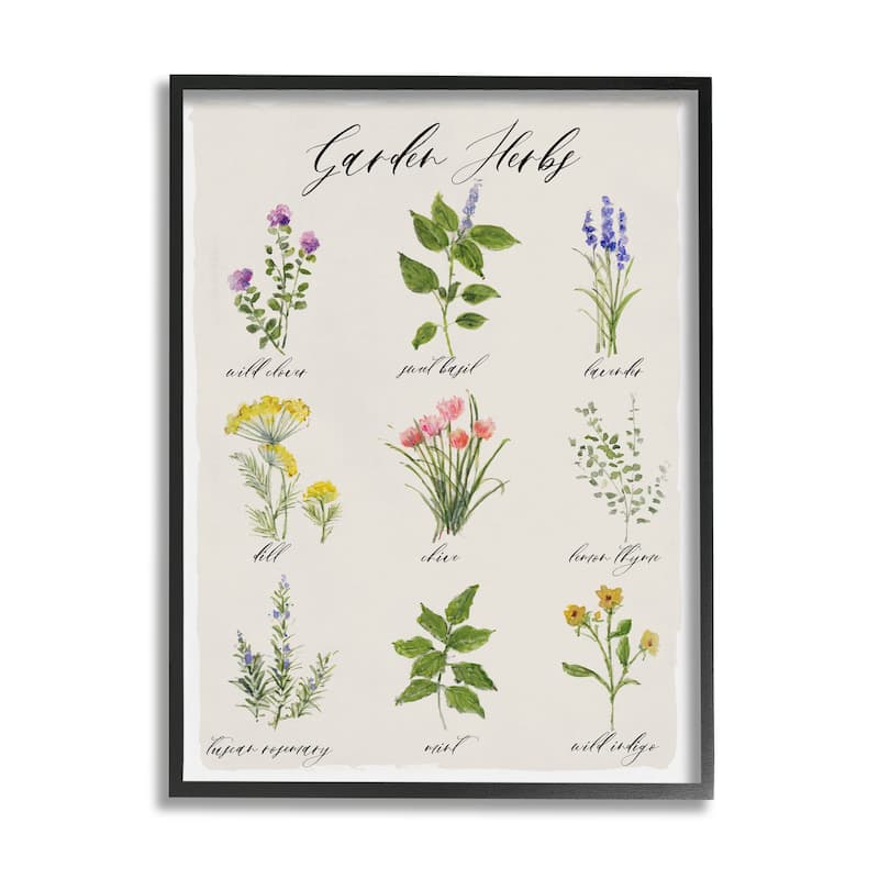 Stupell Garden Herb Illustrated Chart Natural Kitchen Seasoning Framed Wall Art - White - 24 x 30 - Black