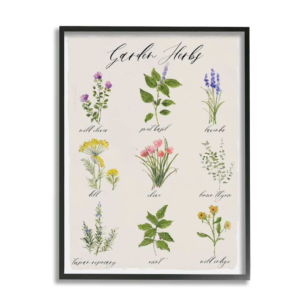 Stupell Garden Herb Illustrated Chart Natural Kitchen Seasoning Framed Wall Art - White
