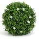 Option Whte Flower Grass