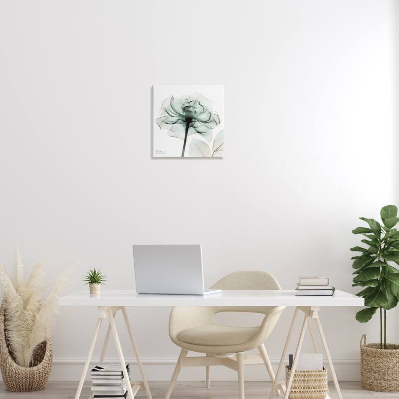 Stupell Transparent Flower Blossom Canvas Wall Art Design By Albert Koetsier