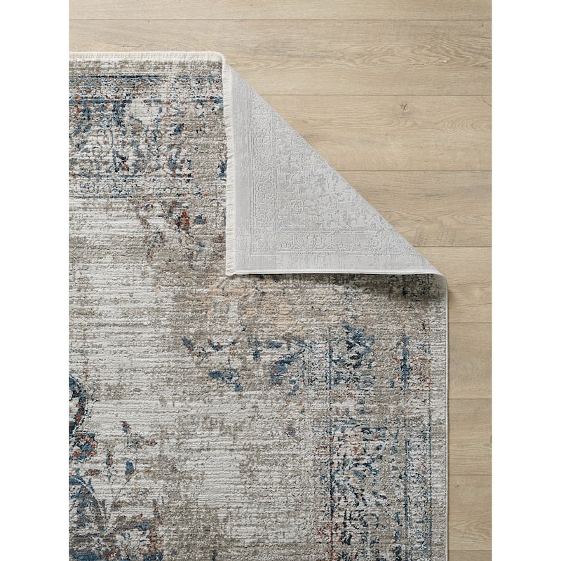 Domani Craze Tranditional & Distressed Area Rug