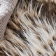 preview thumbnail 4 of 4, Chillin Cheetah - Coma Inducer Oversized Comforter Set