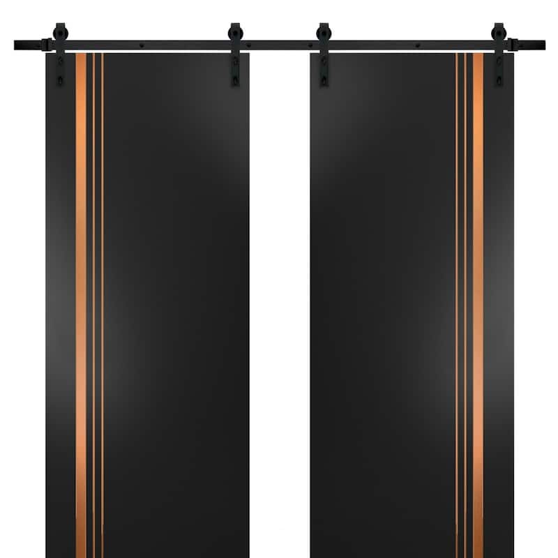 Sturdy Double Barn Door 36 x 80 with Planum 1010 Matte Black with 13FT - Black - 60" x 80" ( 2* 30x80)