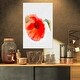 preview thumbnail 9 of 8, Designart "Large Red Poppy on White Back" Flower Artwork on Canvas 16 in. wide x 32 in. high