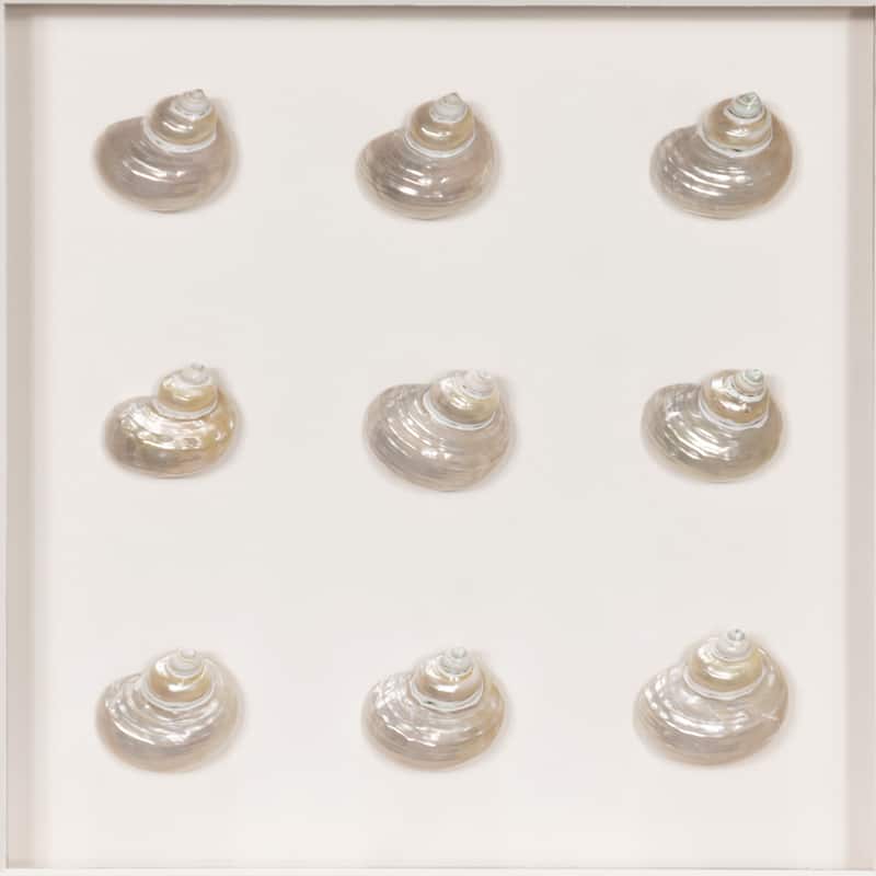 HUJI Handmade Pearlescent Sea Shell Shadow Box Wall Decor for Bathroom Bedroom
