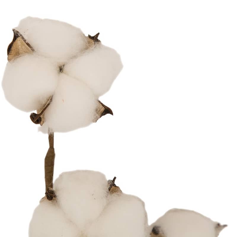 Glitzhome 72-Piece Artificial Fall Harvest Small Cotton Pick for DIY