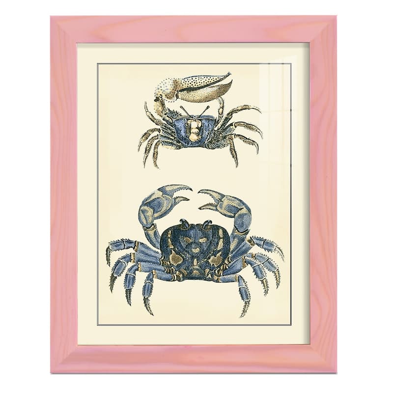 Antique Blue Crabs II -Framed Print w/glass-Cherry Red