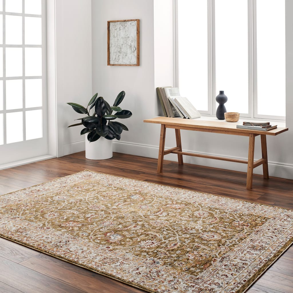 Miranda Traditional Area Rug