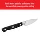 preview thumbnail 14 of 14, ZWILLING Pro Paring Knife