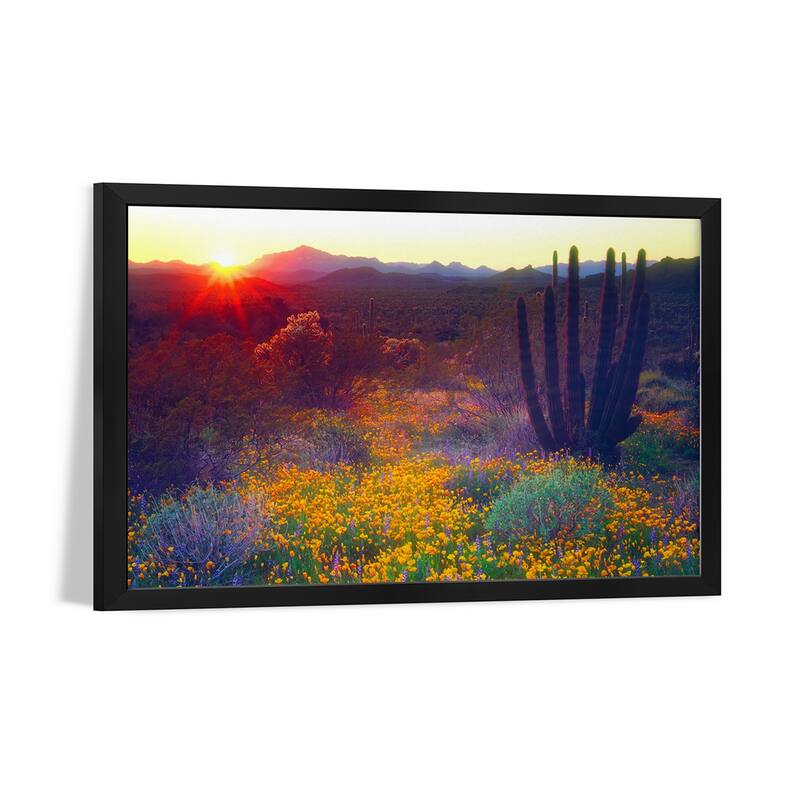 Sunset Over An American Southwest Landscape, Organ Pipe National Monument, USA Premium Framed Poster by Christopher Talbot Frank
