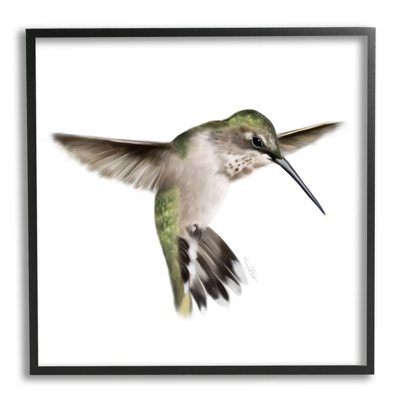 Stupell Green Hummingbird Hovering Wings Flying Bird Beak Framed Wall Art, Design by Studio Q - Multi