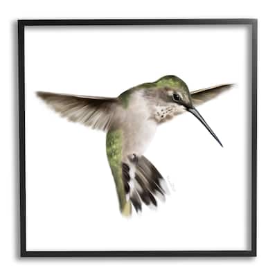 Stupell Green Hummingbird Hovering Wings Flying Bird Beak Framed Wall Art, Design by Studio Q - Multi