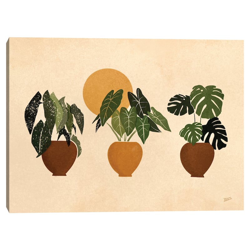 Houseplants II Canvas Art Print