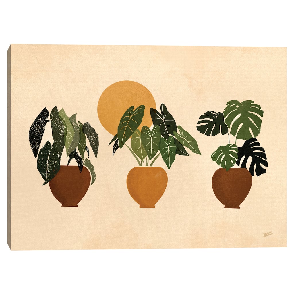 Houseplants II Canvas Art Print