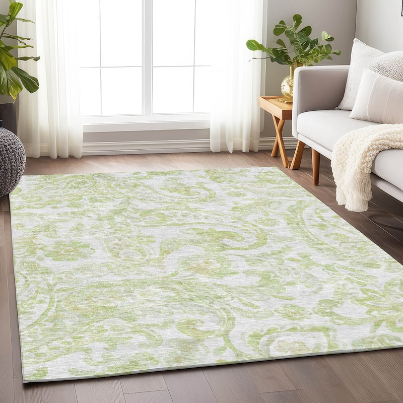 Premium Washable Super Soft Modern Paisley Mayfield Rug