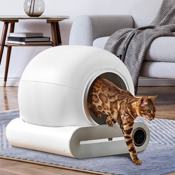 Smart cat bed new arrivals