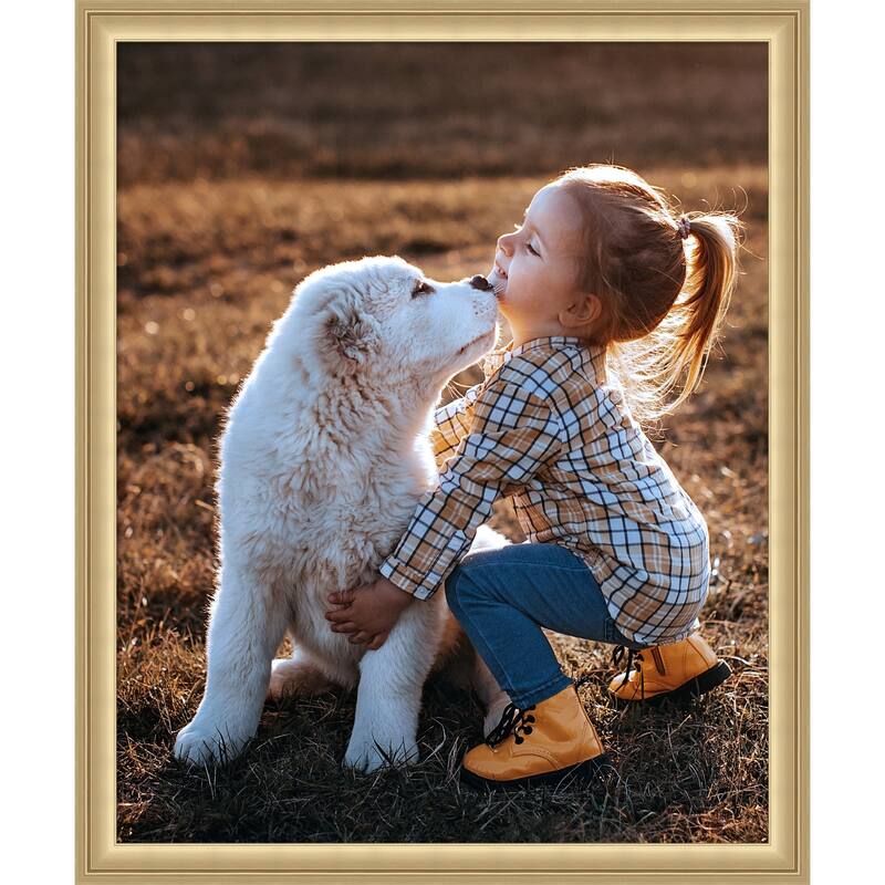 Florence Gold Framed Picture Frame, Photo Frame - 18x22 - Florence Gold