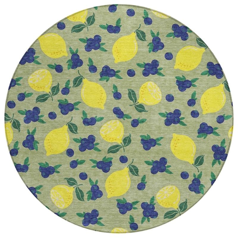 Machine Washable Indoor/ Outdoor Citrus Berry Chantille Rug