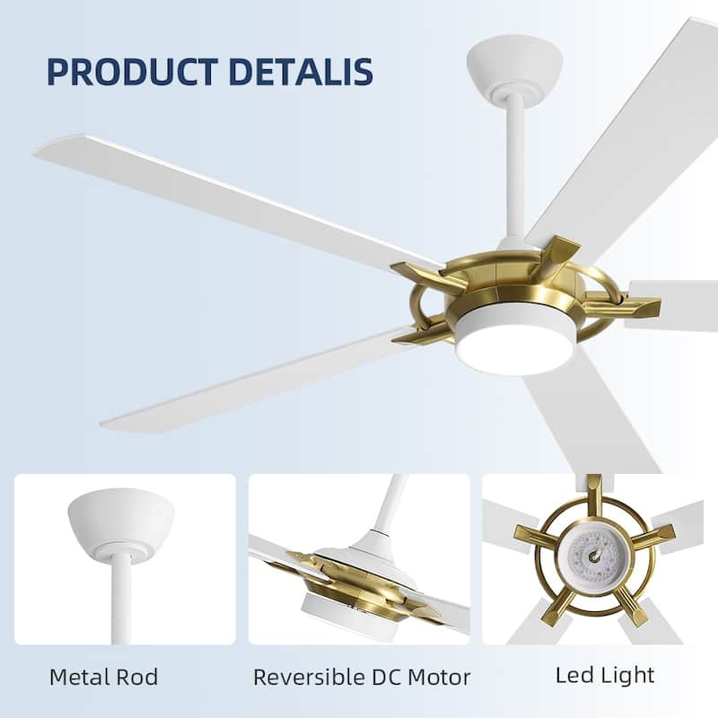 MLiAN 60 In. 5-Plywood Blades Indoor Ceiling Fan with Light Kit and Remote
