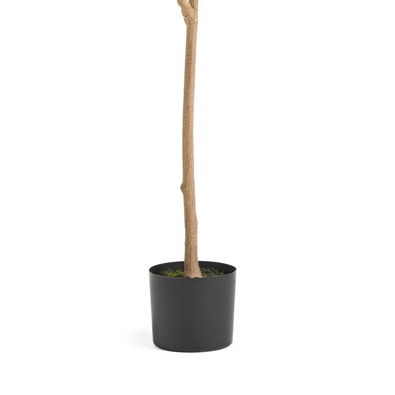 Zylo Decorative Faux Lemon Tree, 59 Inch, Green