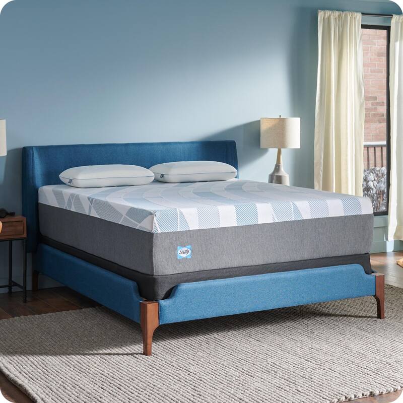 Sealy Dreamlife 14" Foam Mattress-in-a-Box