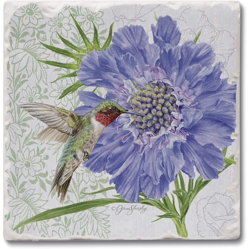 Absorbent Stone Beverage Coasters - Set of 4 - Scabiosa - Multi-154