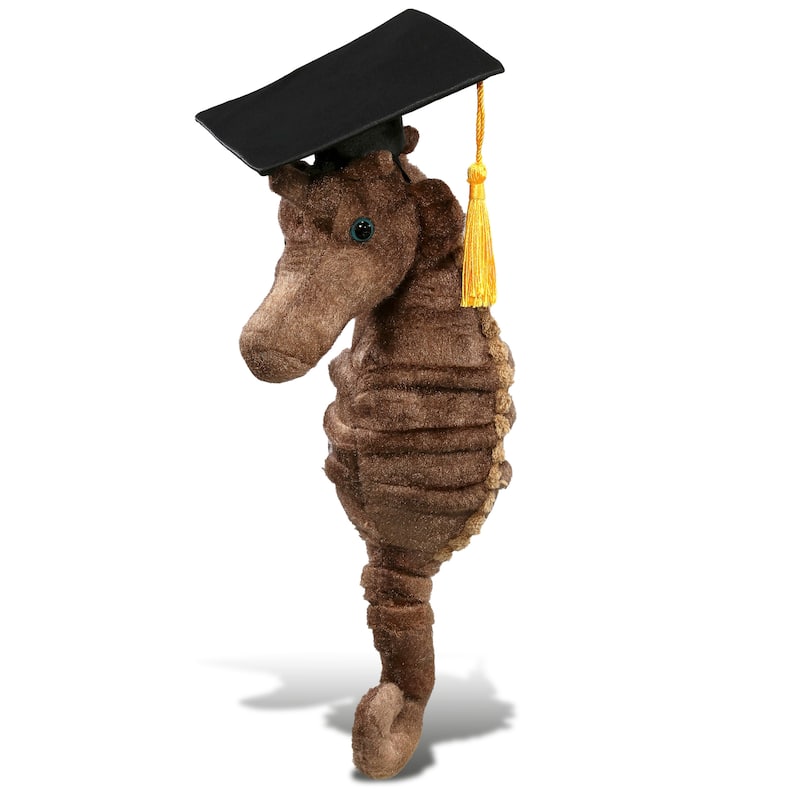 DolliBu Seahorse Graduation Plush Toy with Cap with Tassel Outfit - 12 inches