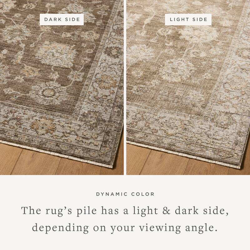 Alexander Home Paloma Traditional Area Rug