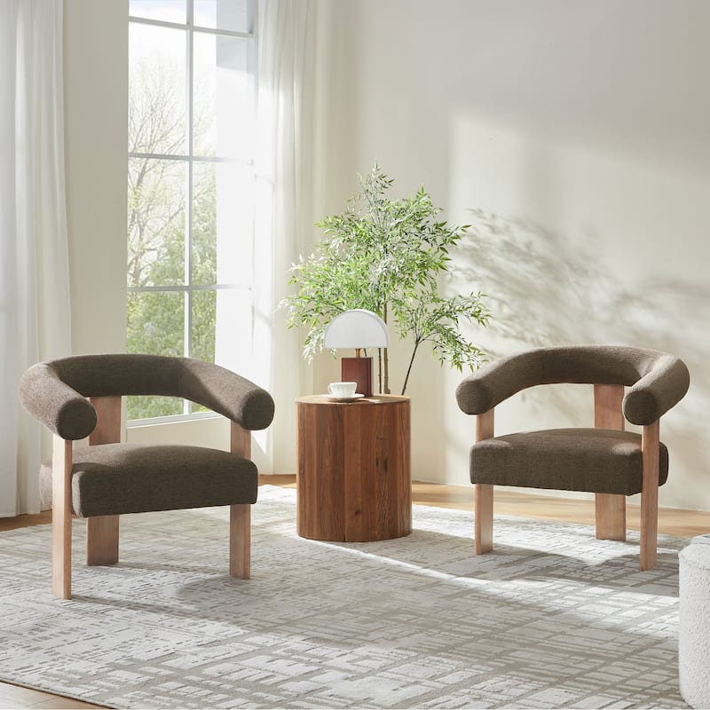 Accent Chair Living Room Chair with Solid Wood Frame