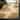SAFAVIEH Handmade Soho Emmelie Leopard N.Z. Wool Rug