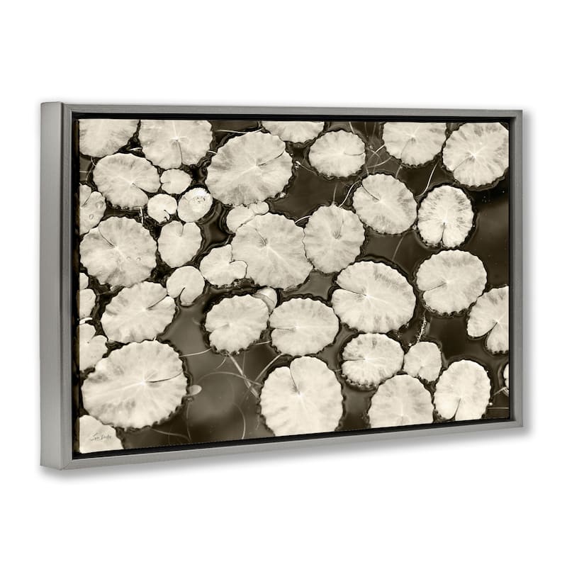 Stupell White Floating Lily Pads Framed Floater Canvas Wall Art Design By Lori Deiter