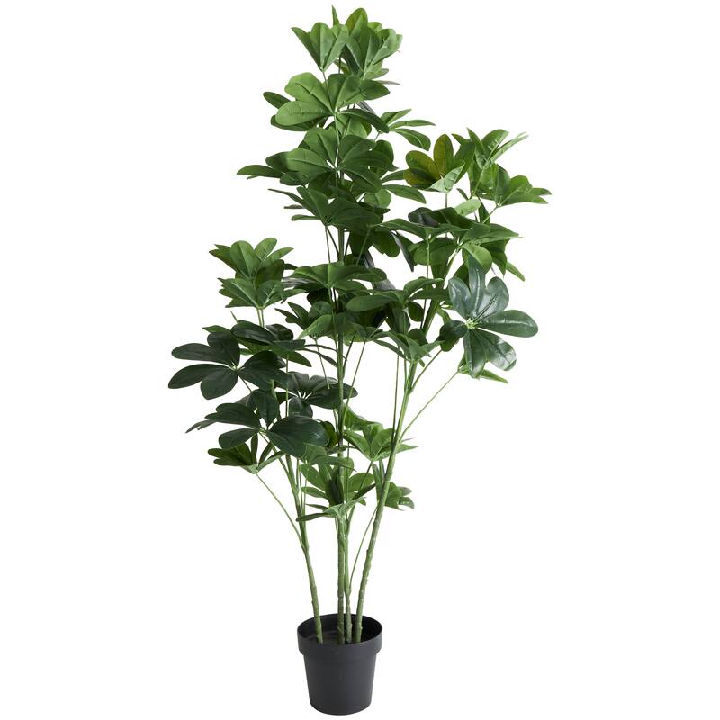 Faux Foliage Money Tree Tall Artificial Tree with Black Pot - Green - Roche River Decor - 24"W x 30"L x 63"H
