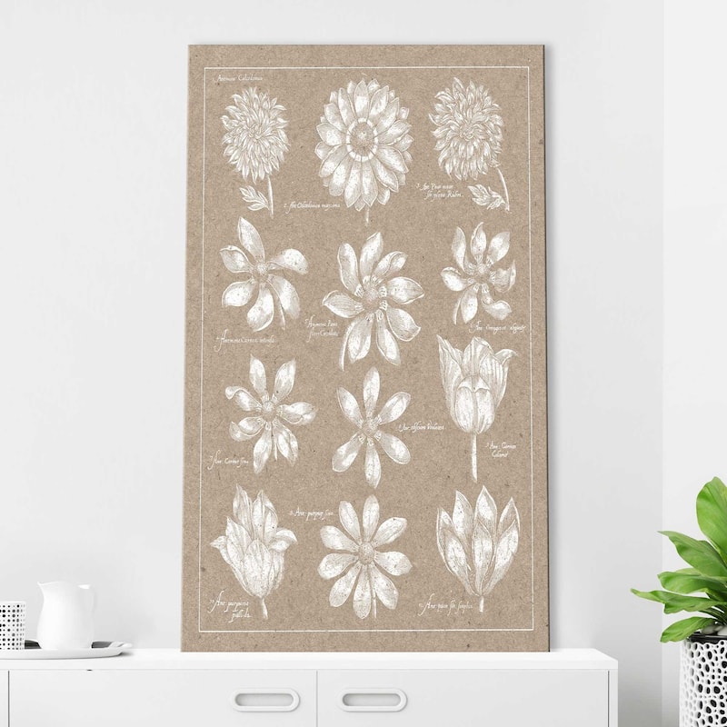 "Anemone Plate II (Vertical)" Print on Canvas